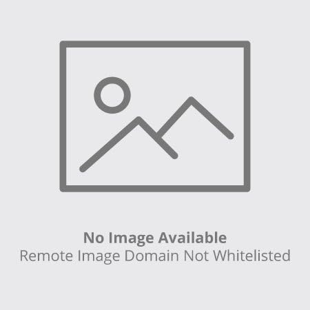 Rachael Ray Solid Glaze Ceramics EVOO Olive Oil Bottle Dispenser with Spout - 24 Ounce, Green