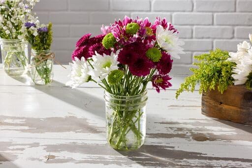 Ball Wide Mouth Glass Mason Jars with Lids and Bands, Used for Canning, Pickling, Juice, Jam, Jelly, Pint Size 16 Ounce (Pack of 6)