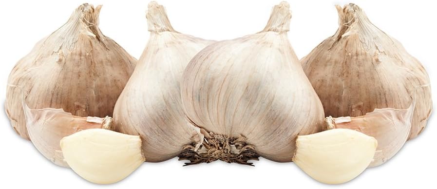 Evriholder Fresh Fare Garlic Keeper, Double Drawstring Feature Protects from Light and Delays Spoilage Sprout-Free Vegetable Storage Bag, 12 Head Capacity