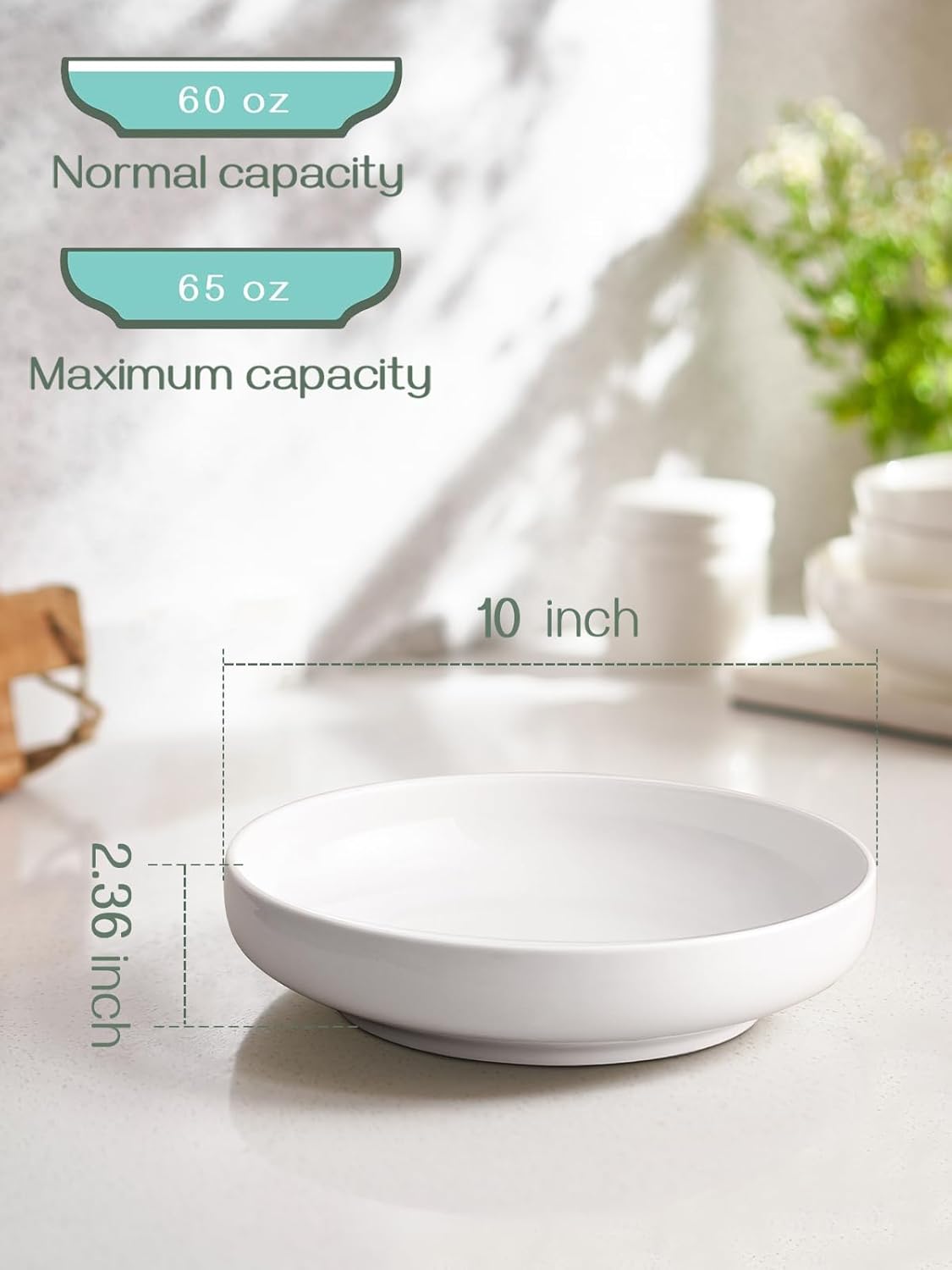 DOWAN Pasta Bowls, 65 oz Large Salad Bowls Set of 2, 10'' Serving Bowls for Wedding, Ceramic Shallow Bowl Plates, Serving Dishes for Entertaining, Microwave Dishwasher Safe