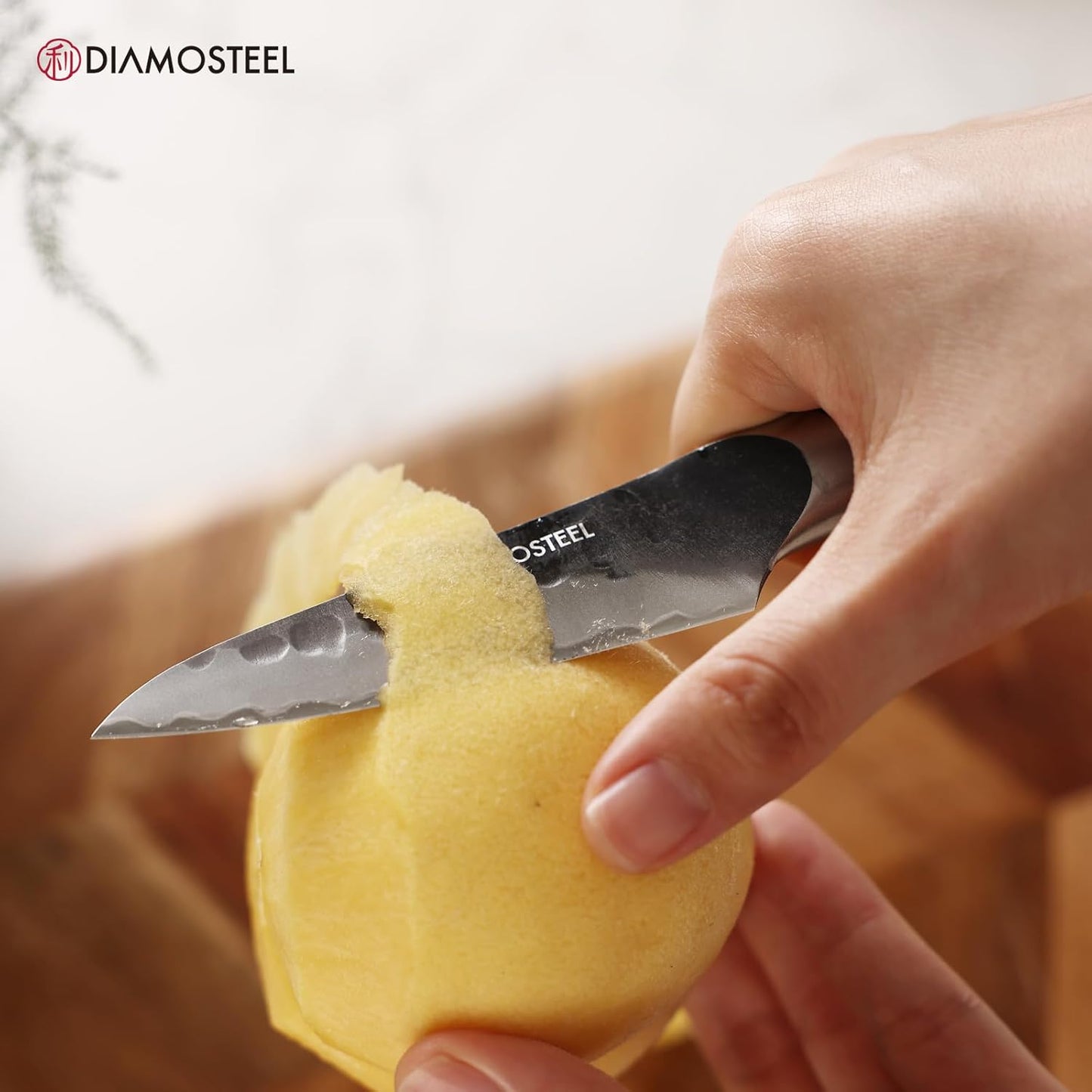 Paring Knife - 3.5-Inch Professional Kitchen Knife - Hammered Black Oxide Blade Japanese 9CR18MOV High Carbon Stainless Steel Sharp fruit Knife - Ergonomic Pakkawood Handle with Present Box