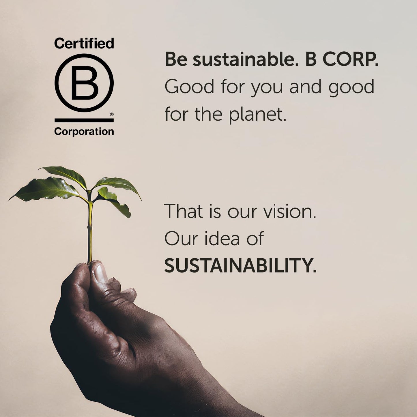 Illy Whole Bean Coffee, Intenso Bold Roast - Bold & Flavorful - 100% Arabica - Whole Beans - Pressurized Packaging Sealed for Freshness - 8.8oz can (Pack of 6)