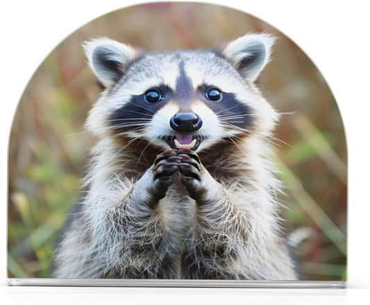 Raccoon Cute Print Napkin Holder for Table Paper Napkins Holder Acrylic Tissue Dispenser Kitchen Dining Room Bathroom Party Car Decor