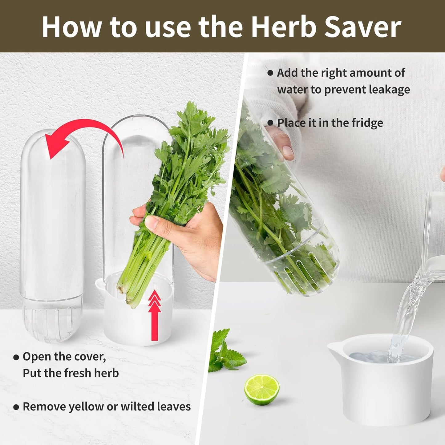 Herb Keeper for Refrigerator, Herb Saver for Refrigerator, Cilantro Container, Vegetable Preservation Bottle for Cilantro, Mint, Parsley, Asparagus, Keeps Greens Fresh for 2-3 Weeks (3PCS)
