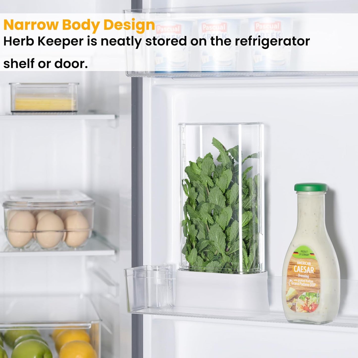 vacane Herb Keeper for Refrigerator, Fresh Herb Saver Herb Storage Containers, Cilantro Container for Fridge Asparagus Container, Dishwasher Safe