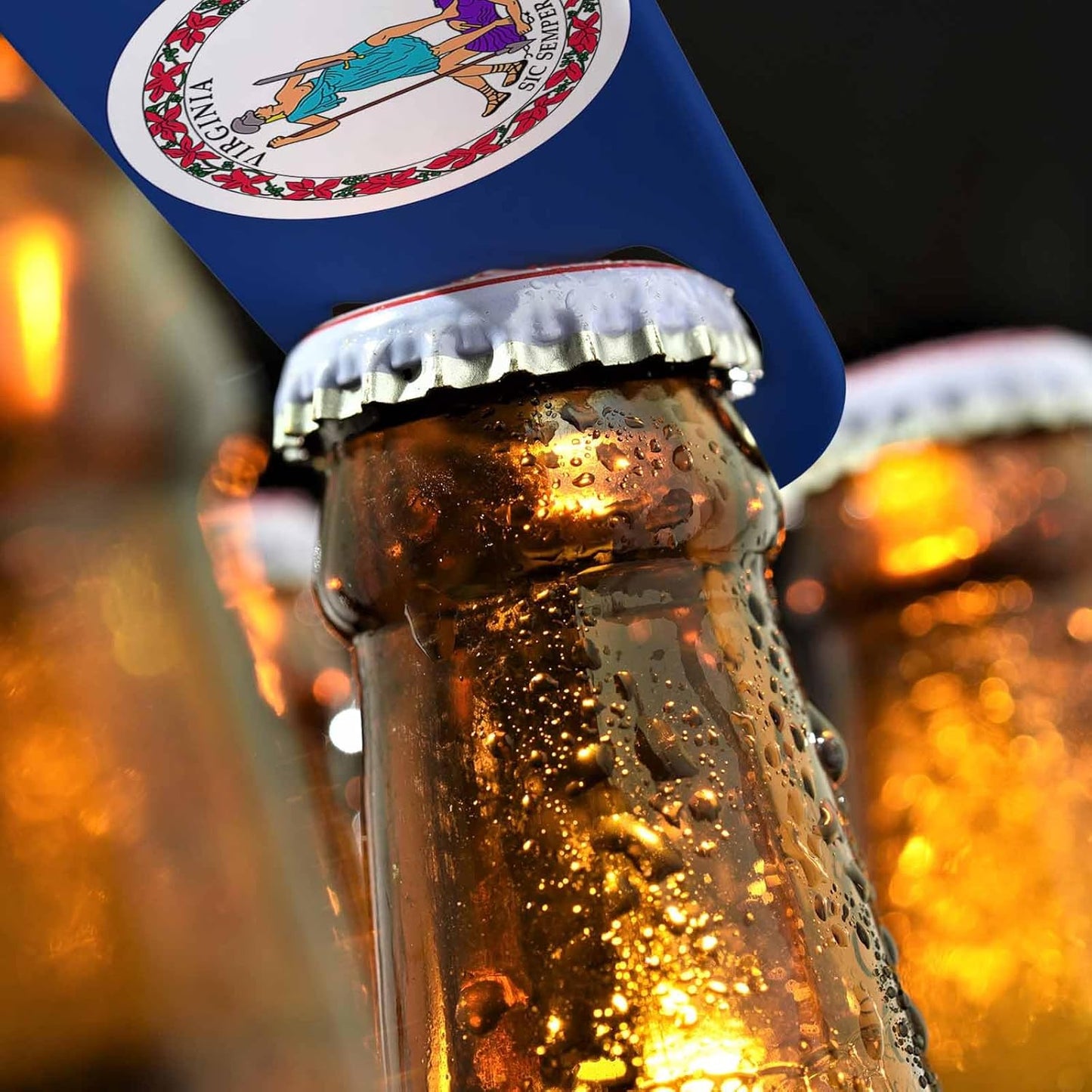 Virginia State Flag Stainless Steel Bottle Opener USA Abstract Proud Green Leaf Curve Blue White Flag Flat Beer Bottle Opener Keychain for Home Kitchen Bar Restaurant Party Birthday Gift