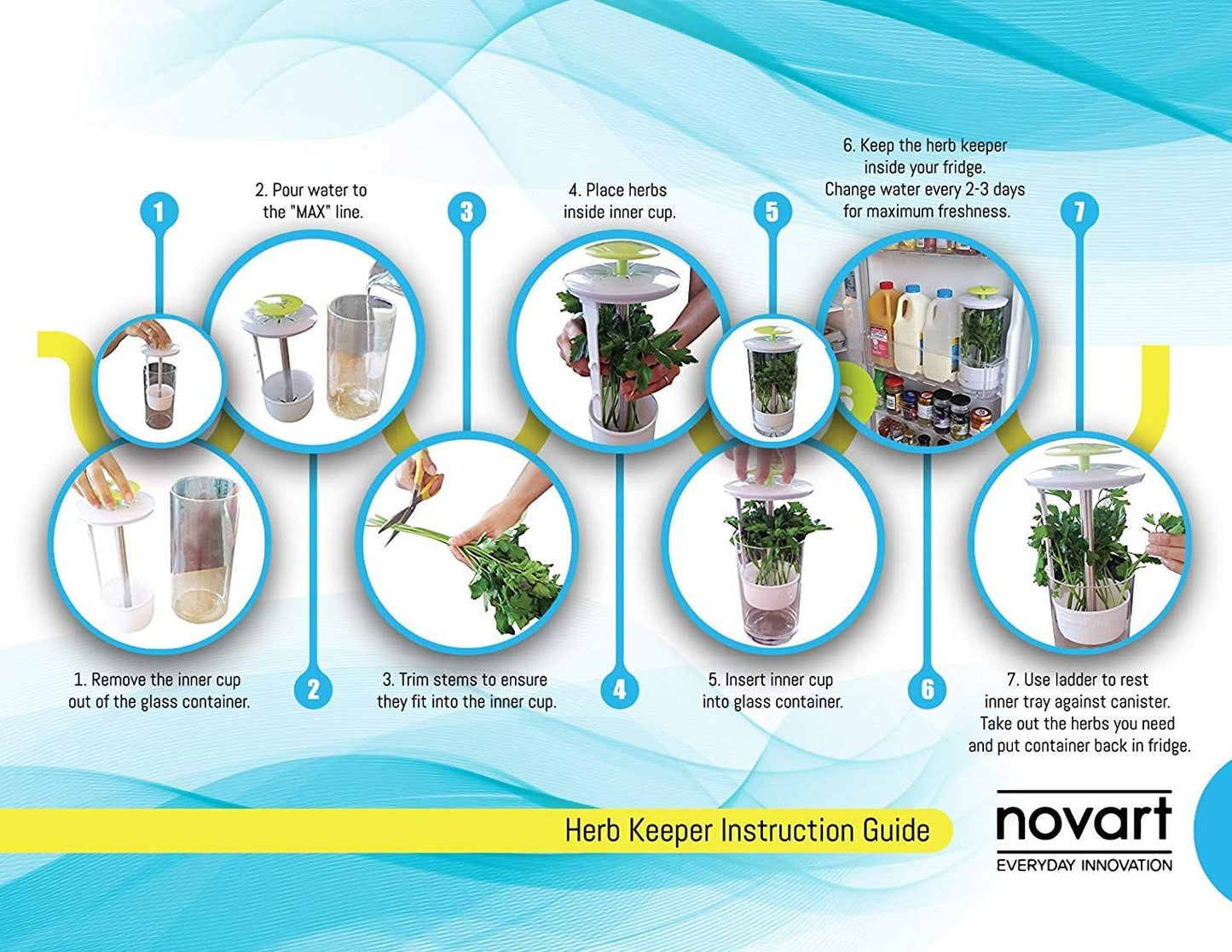 XXL Herb Keeper and Herb Saver – Glass Storage Container for Cilantro, Mint, Parsley, Asparagus, Keeps Greens Fresh for 2-3 Weeks