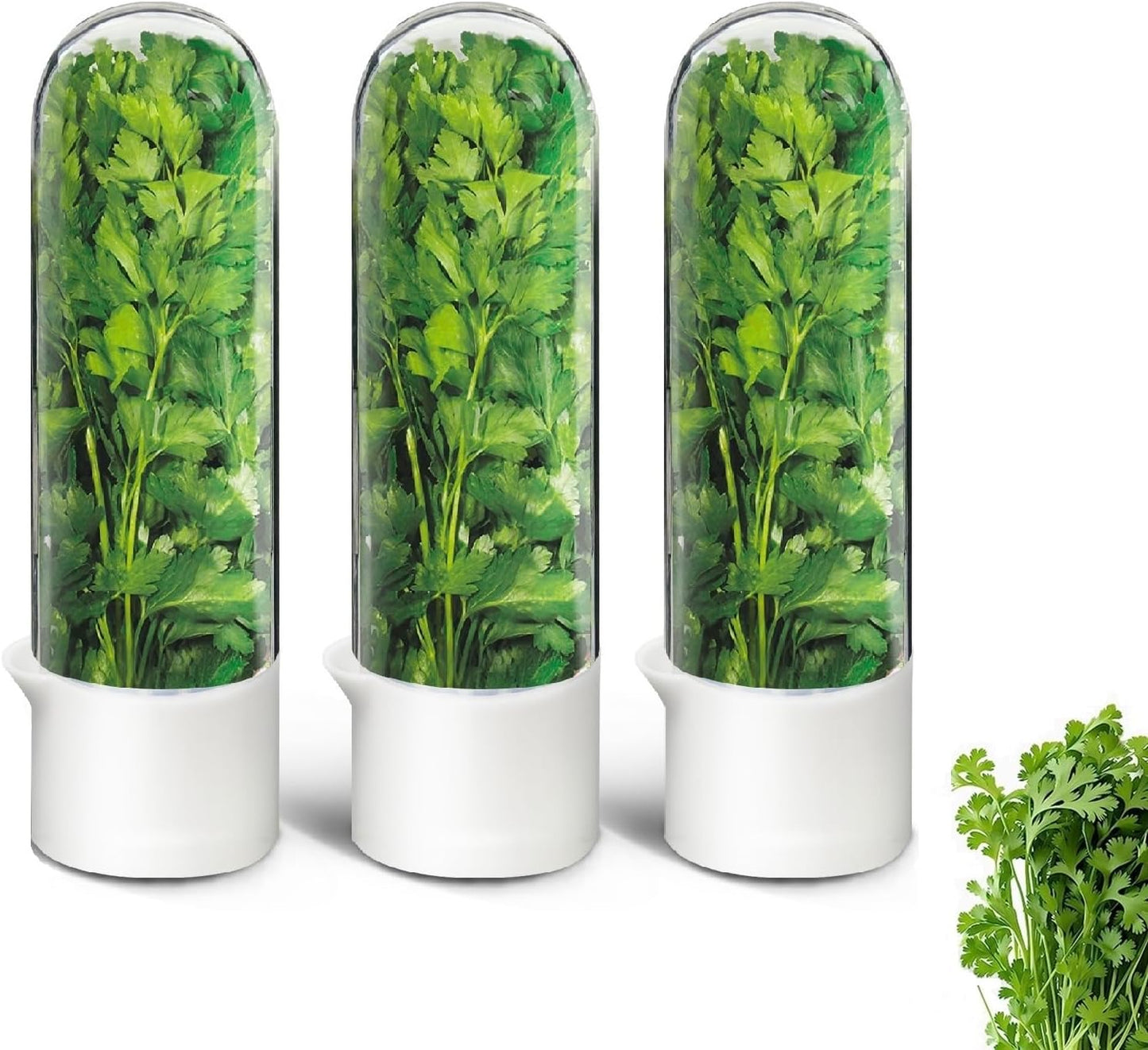 Herb Keeper for Refrigerator, Herb Saver for Refrigerator, Cilantro Container, Vegetable Preservation Bottle for Cilantro, Mint, Parsley, Asparagus, Keeps Greens Fresh for 2-3 Weeks (3PCS)