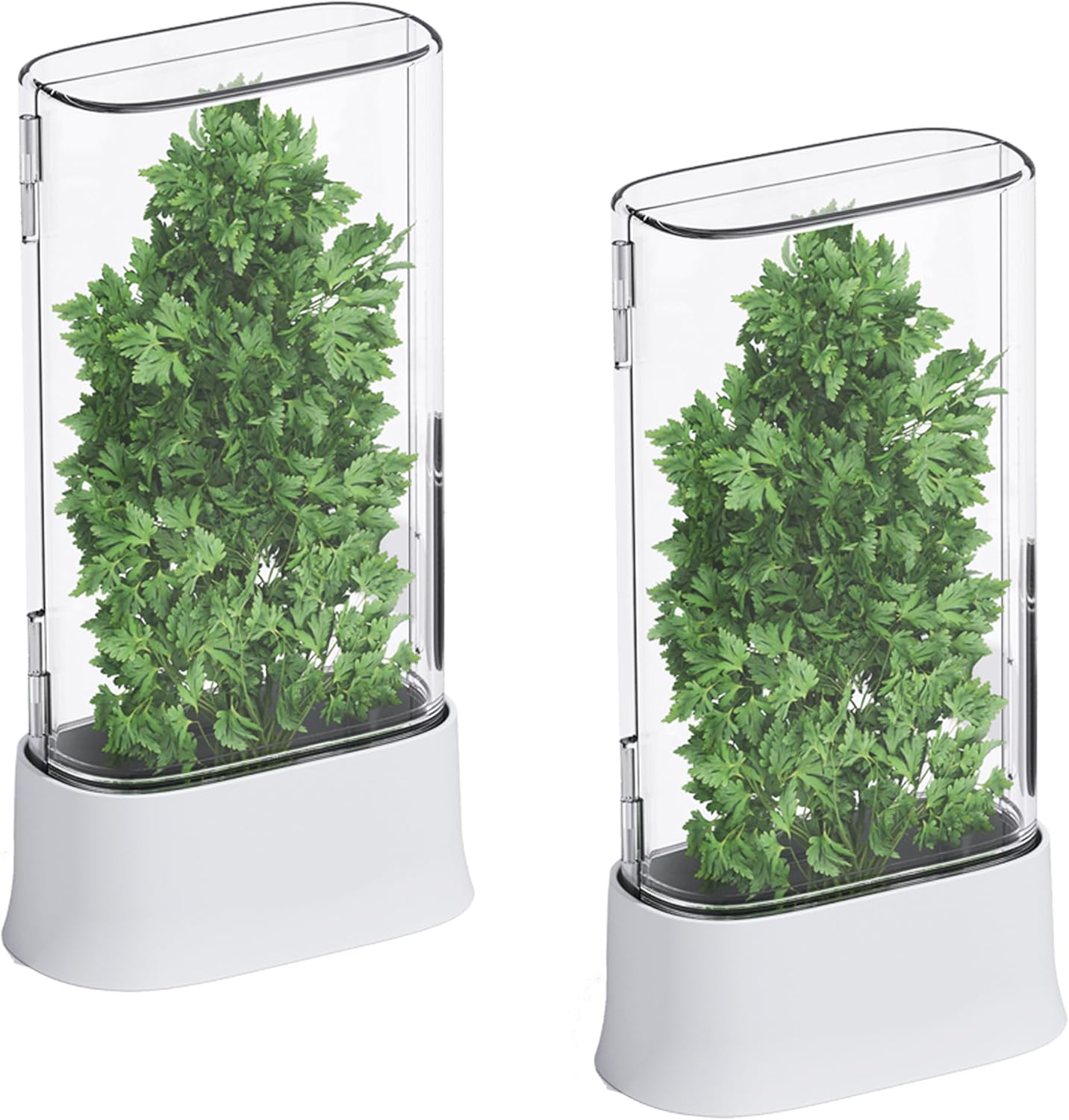 vacane Herb Keeper for Refrigerator, Fresh Herb Saver Herb Storage Containers, Cilantro Container for Fridge Asparagus Container, Dishwasher Safe-2 Pack