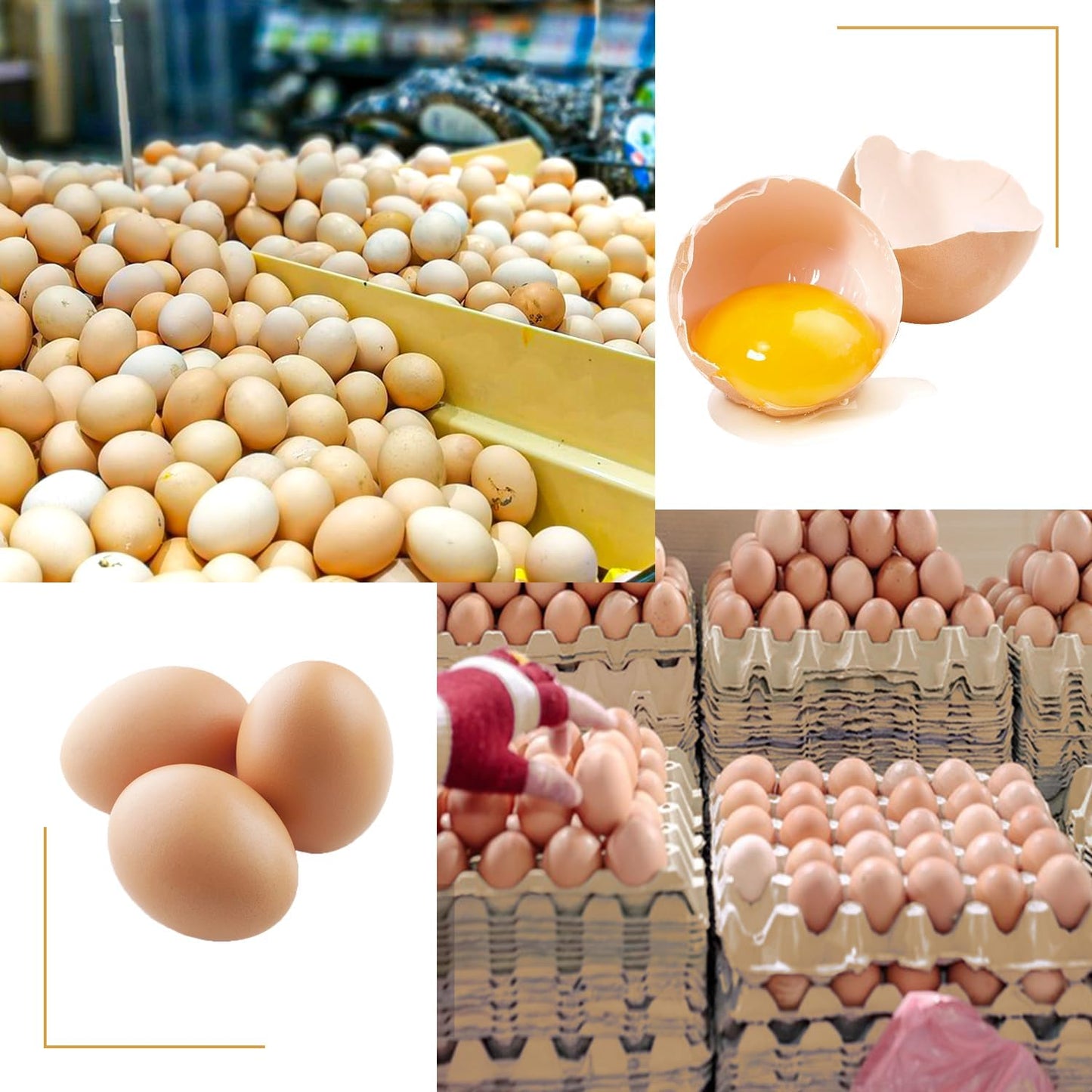 20 Flats 30-Cell Egg Crate?Holds 30 Eggs?, Cardboard Egg Cartons, Sturdy and Stackable Egg Flats, Perfect Egg Crates for Fresh Eggs, Chicken Farm, by IHDYPPEW