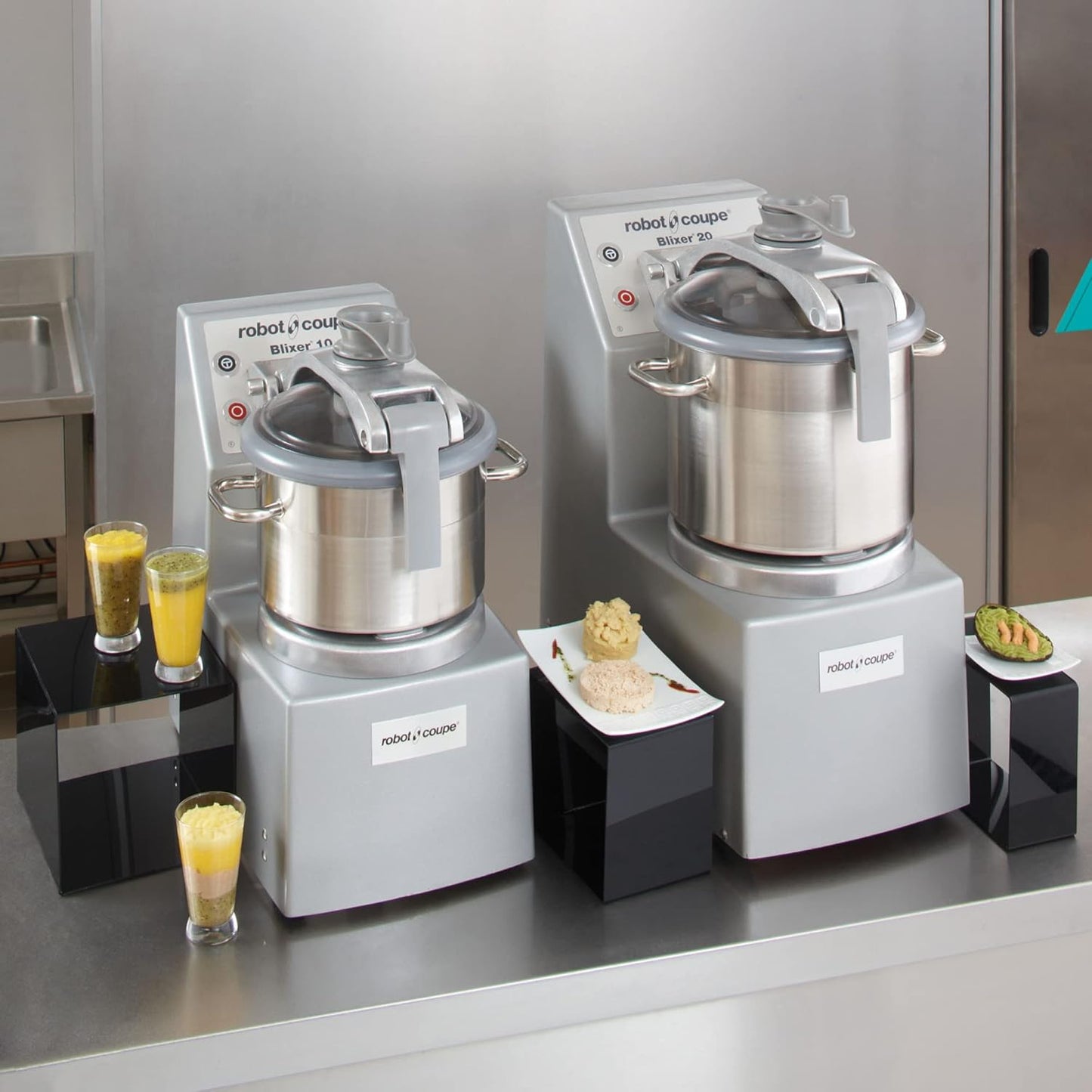 Robot Coupe BLIXER10 11.5-Liter Commercial Vertical Blender/Mixer Food Processor with Two Speeds, Stainless Steel