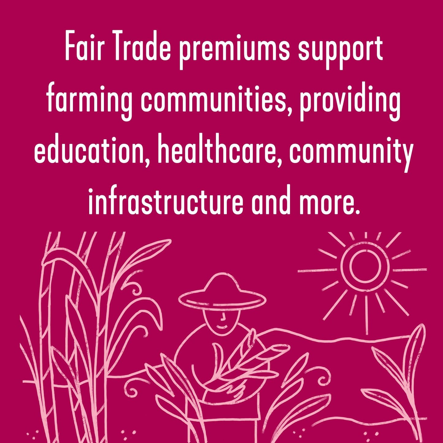 Wholesome Fair Trade Organic Light Brown Sugar, 64oz, 1-Pack