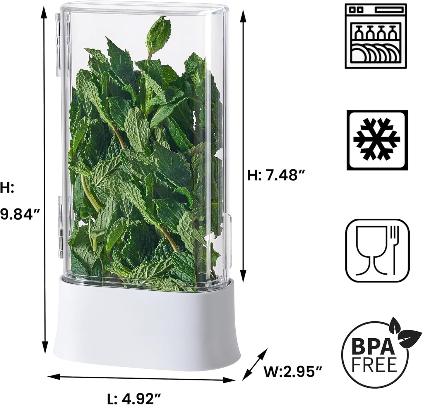 vacane Herb Keeper for Refrigerator, Fresh Herb Saver Herb Storage Containers, Cilantro Container for Fridge Asparagus Container, Dishwasher Safe
