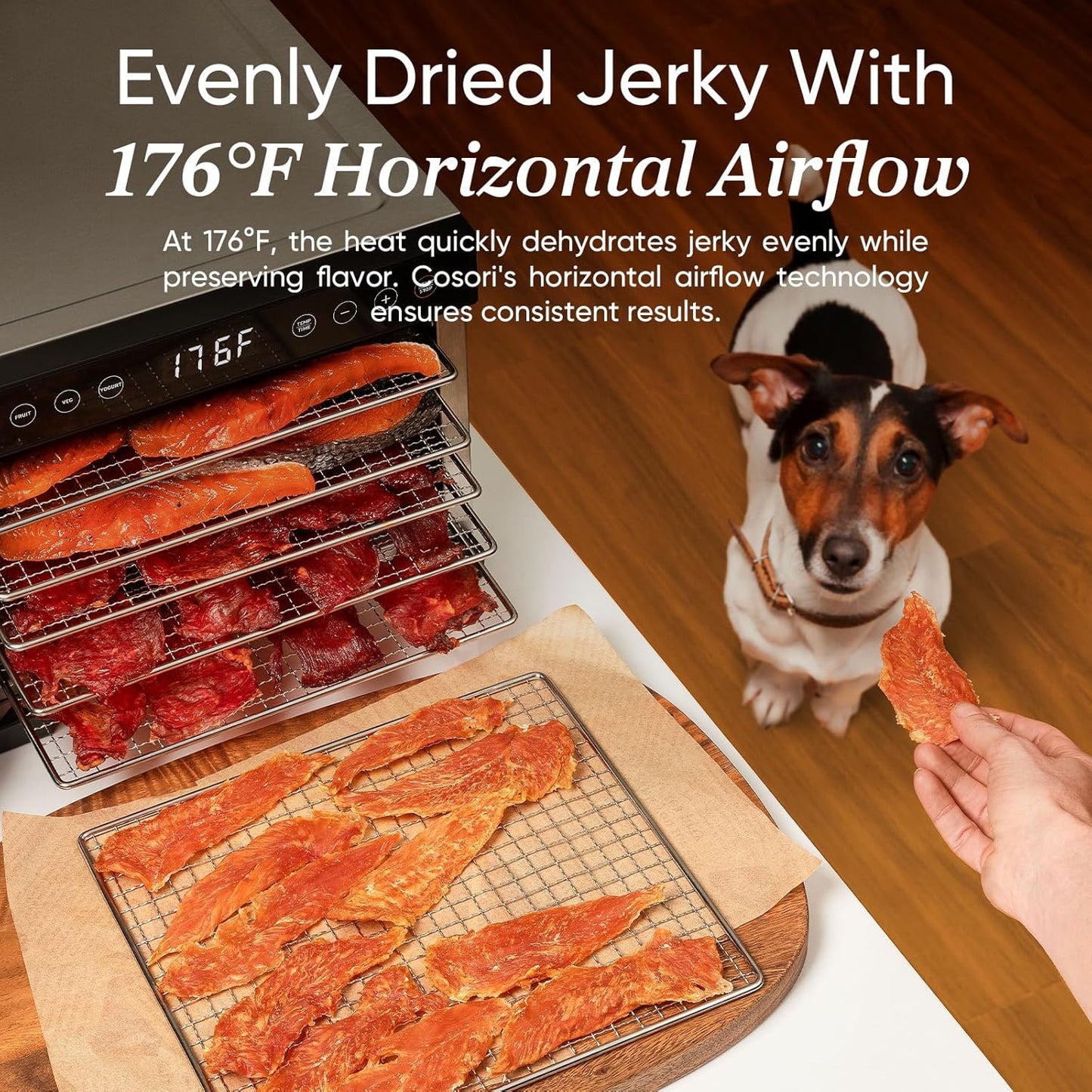 COSORI Food Dehydrator for Jerky, 176°F Temperature Control, 5 Stainless Steel Trays Dryer Machine, 4 Presets, 48H Timer, for Dog Treats, Meat, Fruit, Veggies, Snacks, Recipe Book Included