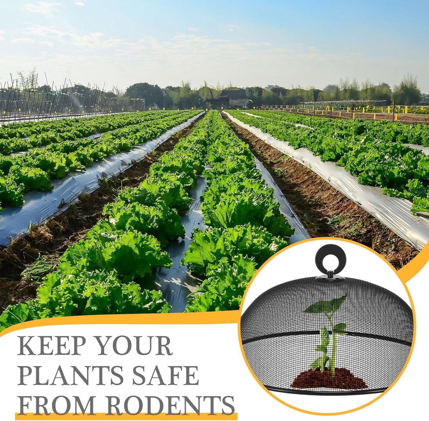 Baderke 4 Pcs Metal Mesh Food Cover 14'' 12'' 11'' 10'' Outdoor Picnic Food Net Covers for Outside Keep out Flies for Table Picnic Camping(Black)