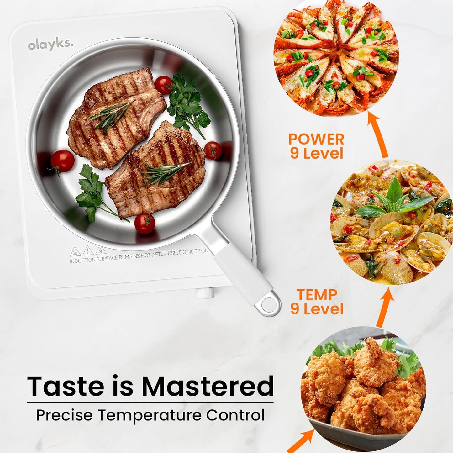 Portable Induction Cooktop, Countertop Burner Hot Plate 1500W With Sensor Touch, Electric Induction Cooker With 9-Level Adjustment, 3-Hour Timer, Auto-Shut-Off, LED Display, Auto Pot Detection