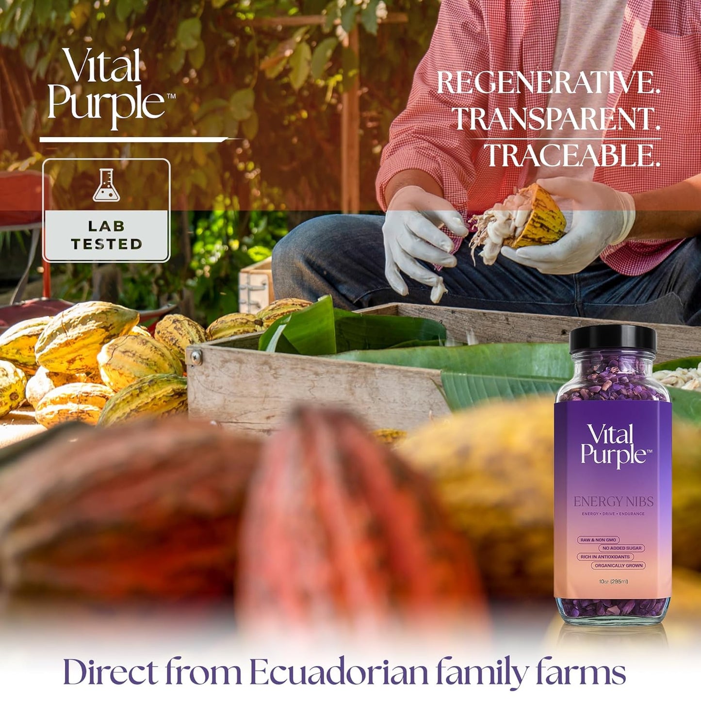 Vital Purple High Flavonal 100% Raw Cocoa Energy Nibs – 900mg Flavanols, Purple Cacao, Unroasted & Unfermented - Clean Fuel for Performance & Recovery (10 oz)