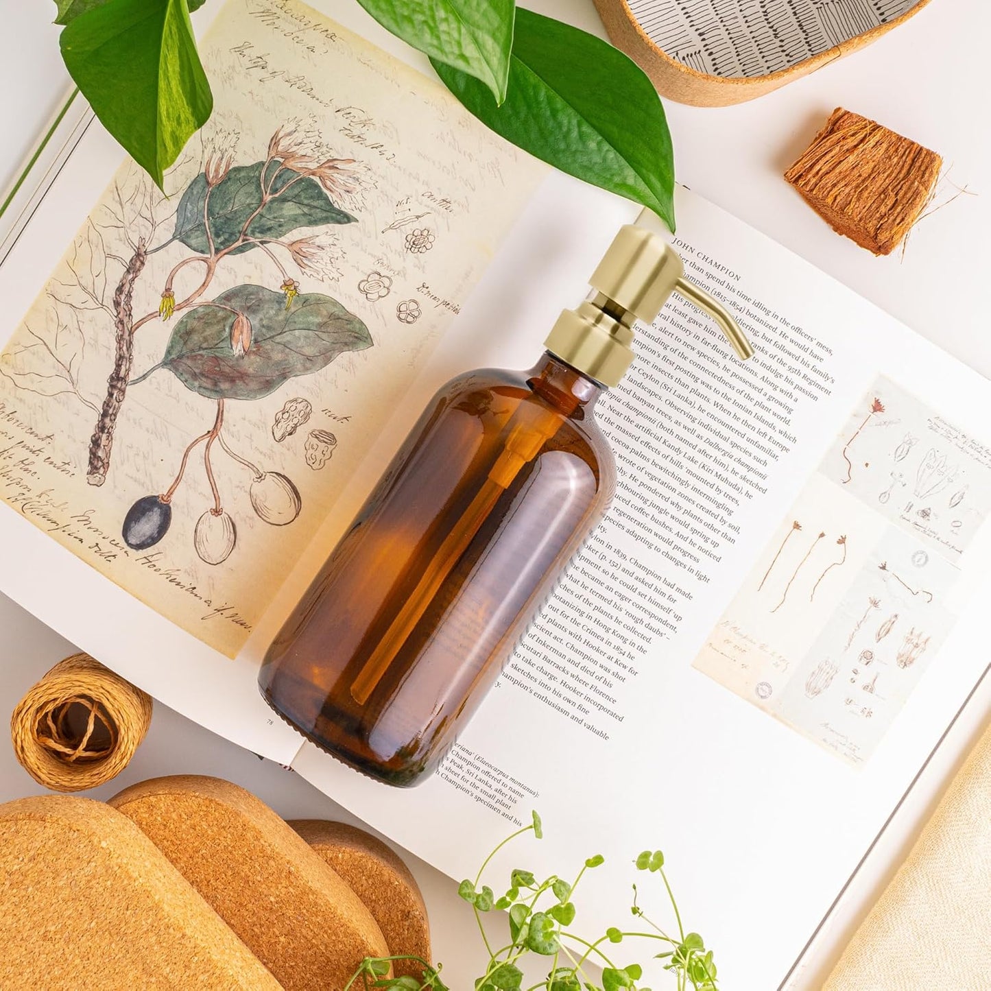 Vine Creations Amber Glass Soap Dispenser, 2 Pack Kitchen Soap Dispenser Set with Stainless Steel Pump, 16 oz Hand Soap and Dish Soap Dispensers for Kitchen or Bathroom with Waterproof Labels