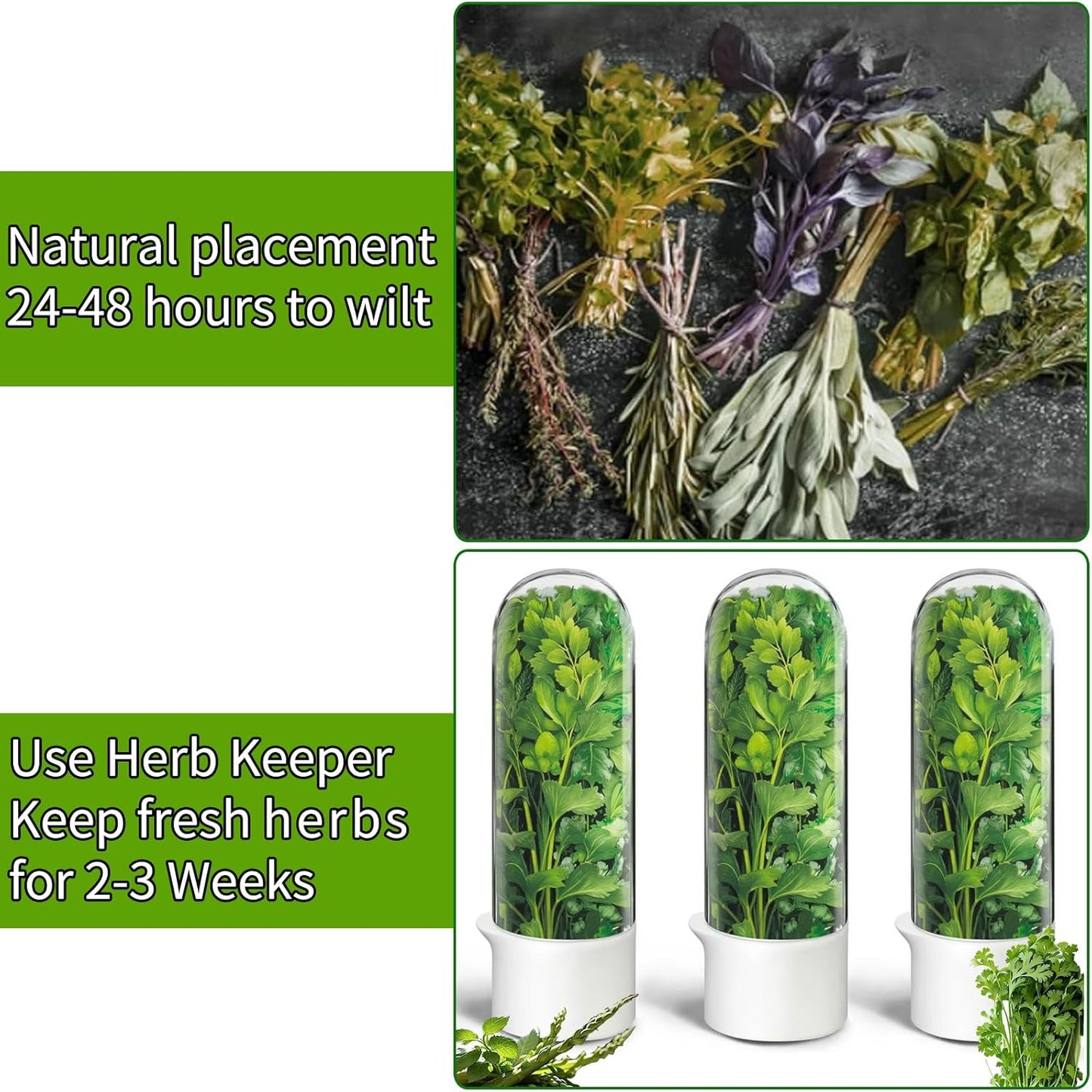 Herb Saver for Refrigerator, Herb Saver Pod Cilantro Containers for Refrigerator, Fresh Herb Keeper for Cilantro, Parsley, Asparagus, Mint, Keeps Greens Vegetables for 2-3 Weeks (Herb Keeper 2Pack)