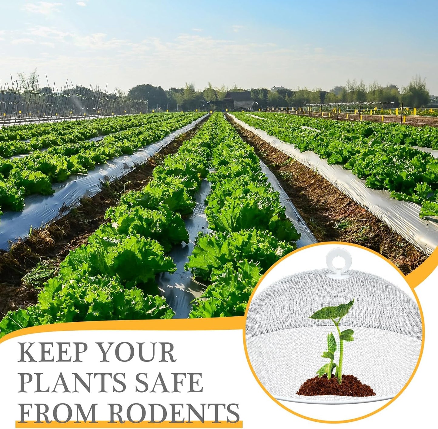 Baderke 4 Pcs Metal Mesh Food Cover 14'' 12'' 11'' 10'' Outdoor Picnic Food Net Covers for Outside Keep out Flies for Table Picnic Camping(White)