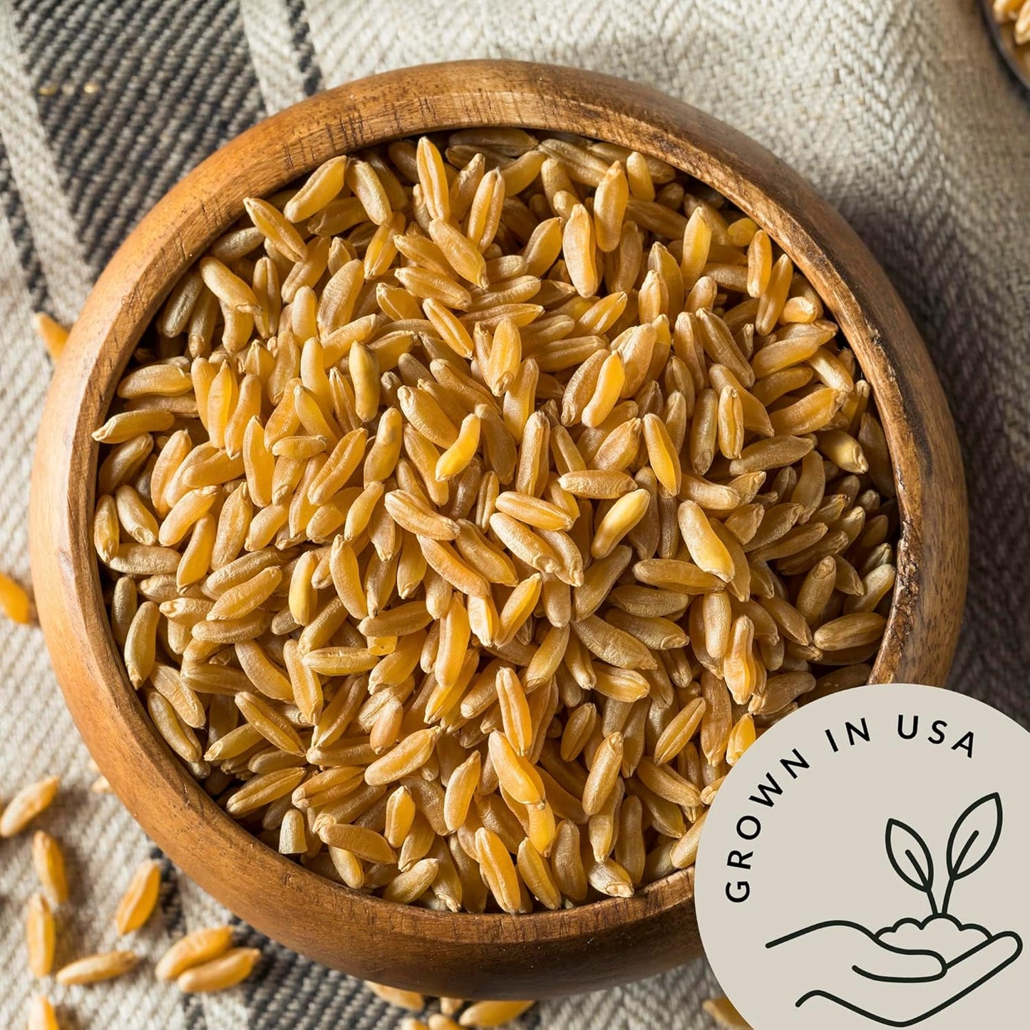 Be Still Farms Organic Kamut Wheat Berries Khorasan (2.8lb) - Ancient Whole Grain Bulk - Ideal for Flour, Pasta, Salads, Soups - High in Fiber & Protein | USA Grown | USDA Certified | Vegan | Non-GMO