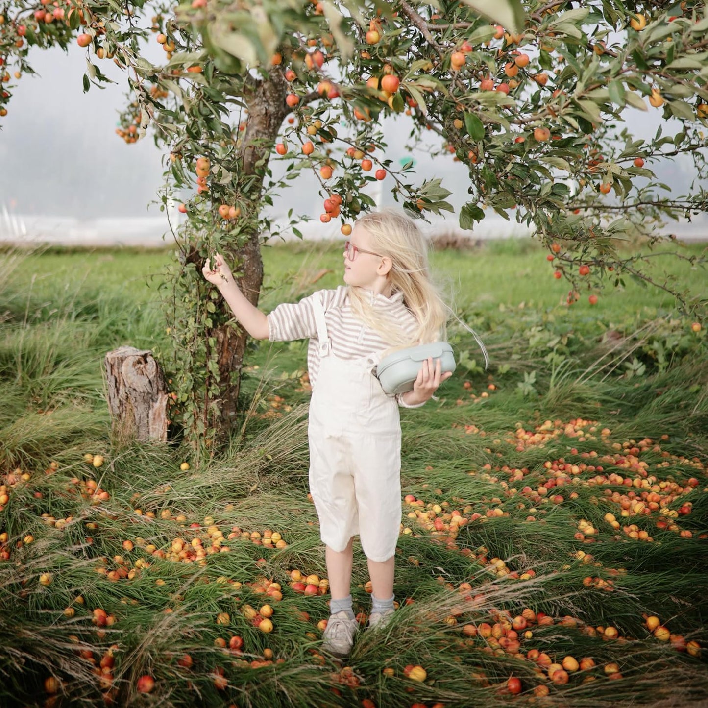 mushie Kids Bento Lunch Box | 3-Compartment & Removable Divider + Fork & Spoon Utensils | Great For Meals, School, Snacks On-the-Go | Dishwasher Safe (Sage)