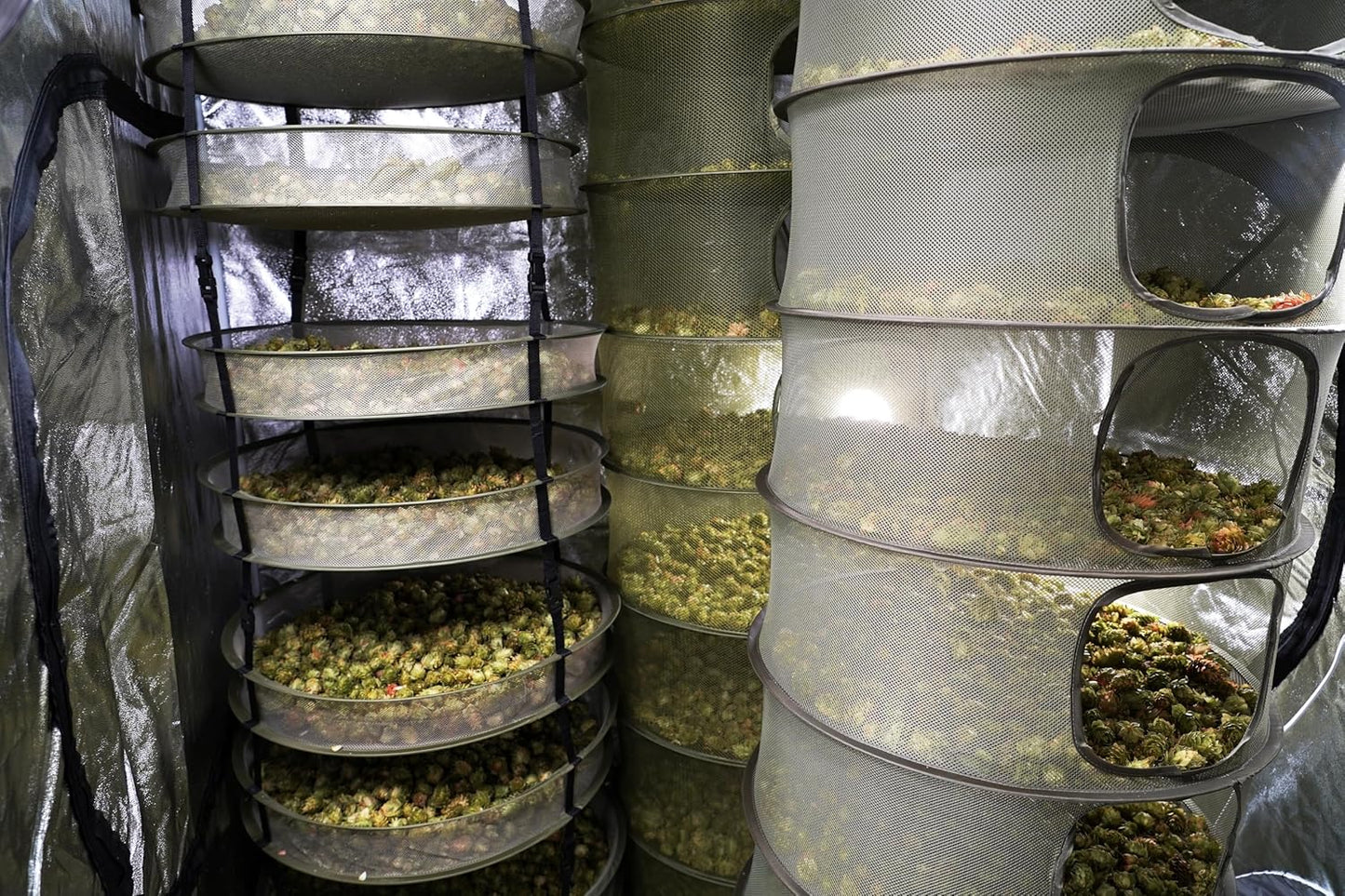 Grow1 3ft Drying Rack 1-Piece Collapsible Mesh Herb and Flower Hanging Dryer with Carrying Case for Even Airflow and Secure Harvest Storage