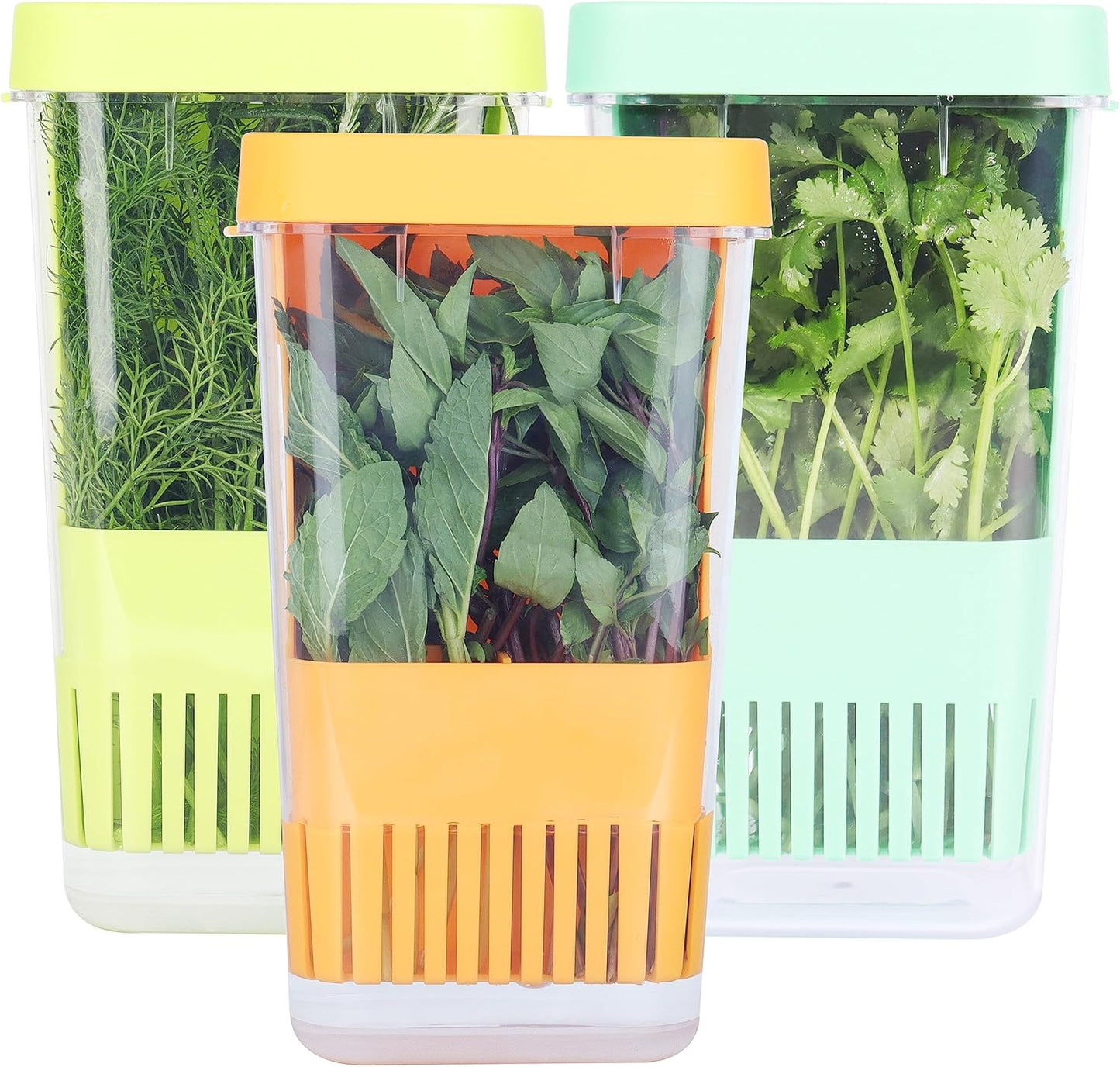 3 Pack Fresh Herb Keeper for Refrigerator, Clear BPA-Free Herb Saver, Storage Container for Cilantro, Parsley, Thyme, Mint & Asparagus, Preserver Keeps Fresh Herbs, Green & Blue & Orange