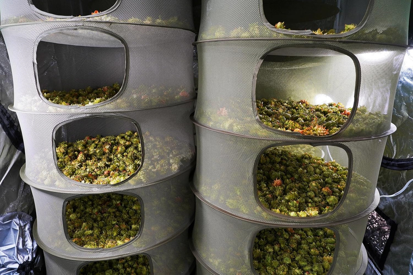 Grow1 3ft Drying Rack 1-Piece Collapsible Mesh Herb and Flower Hanging Dryer with Carrying Case for Even Airflow and Secure Harvest Storage